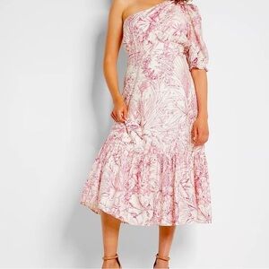 Express Pink and White Ruffled One Shoulder Sundress